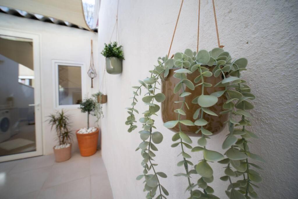 Appartement Climatise Grande Terrasse 2 Chambres Μασσαλία Εξωτερικό φωτογραφία